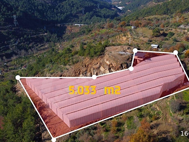 5.033 m² Kapalı Muz Serası | Güneş Enerjili | Takas Açık - Görsel 4