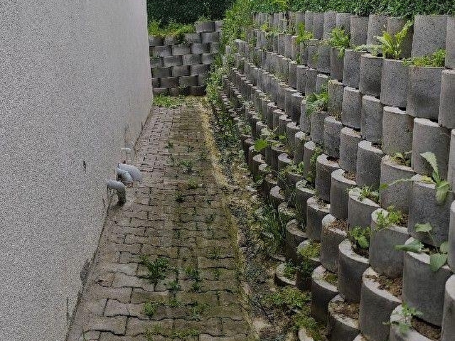 İstanbul Çatalca Belgrat mahallesi Satılık 500 m² arsa içerisinde 100m² yapılı bina... - Görsel 8