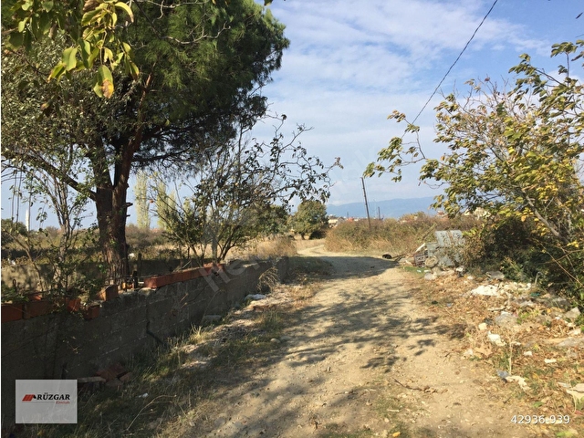 Burhaniye İskele Satılık