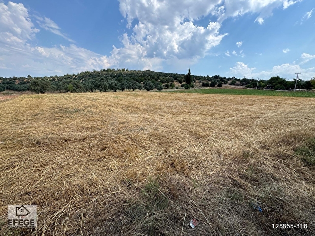 Muğla Milas Çamovalıda Satılık 12 Dönüm Verimli Tarla... - Görsel 17