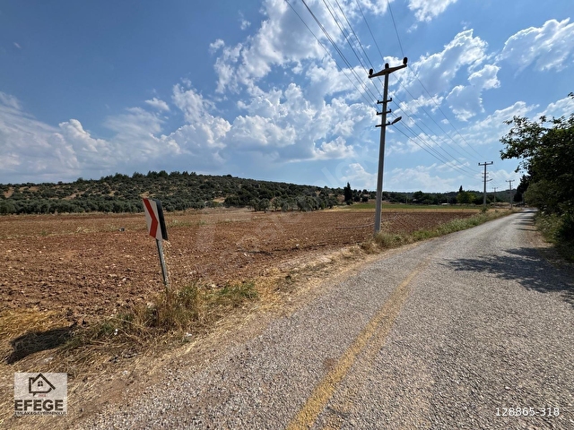 Muğla Milas Çamovalıda Satılık 12 Dönüm Verimli Tarla... - Görsel 14