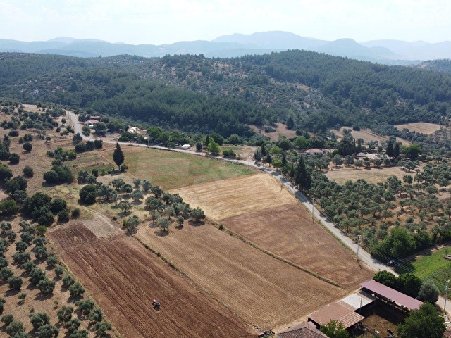 Muğla Milas Çamovalıda Satılık 12 Dönüm Verimli Tarla... - Görsel 10