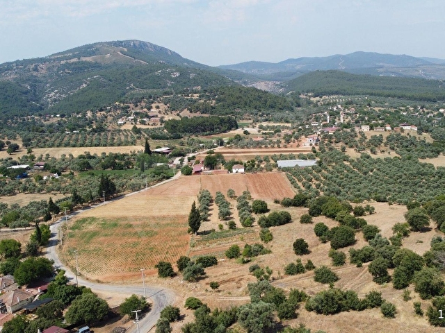 Muğla Milas Çamovalıda Satılık 12 Dönüm Verimli Tarla...