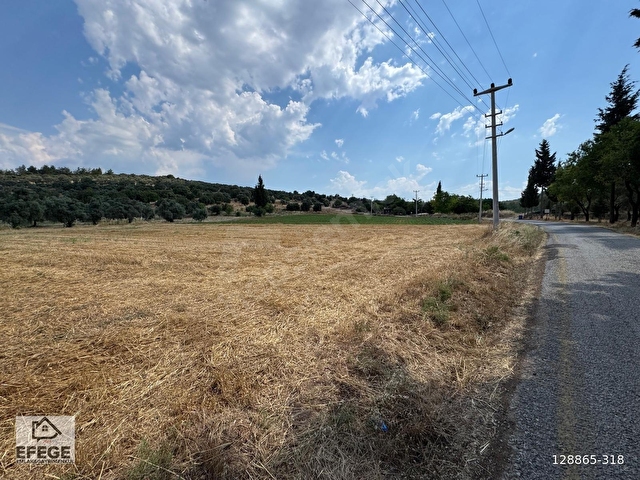 Muğla Milas Çamovalıda Satılık 12 Dönüm Verimli Tarla... - Görsel 16