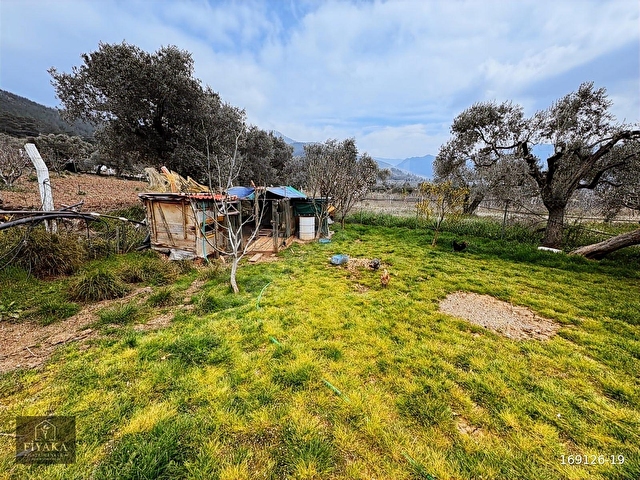 Dereköyde 1650 m² Bahçe + Ev - Görsel 16
