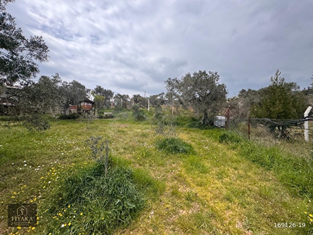 Dereköyde 1650 m² Bahçe + Ev - Görsel 21