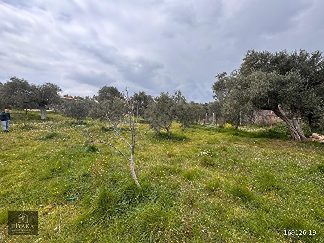 Dereköyde 1650 m² Bahçe + Ev - Görsel 23