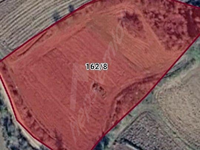 TEKİRDAĞ IŞIKLAR MAHALLESİNDE 4450 M2 KIYMETLİ TARLAMIZ SATILIKTIR