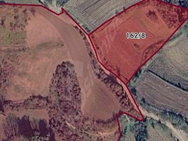 TEKİRDAĞ IŞIKLAR MAHALLESİNDE 4450 M2 KIYMETLİ TARLAMIZ SATILIKTIR - Görsel 3