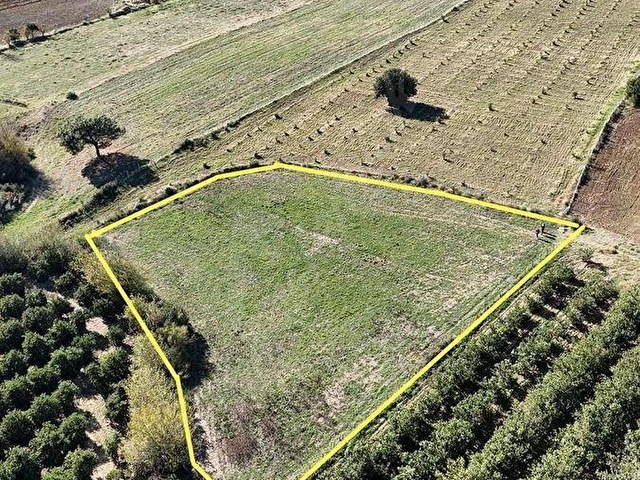KOZAN DİVAN EMLAKTAN BUCAK MEVKİİNDE 4 DÖNÜM TARLA TAKASA AÇIK