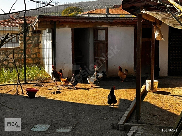 ŞİLE DE 1000 m2 ARSA İÇİNDE SATILIK MÜSTAKİL ÇİFTLİK EVİ - Görsel 3