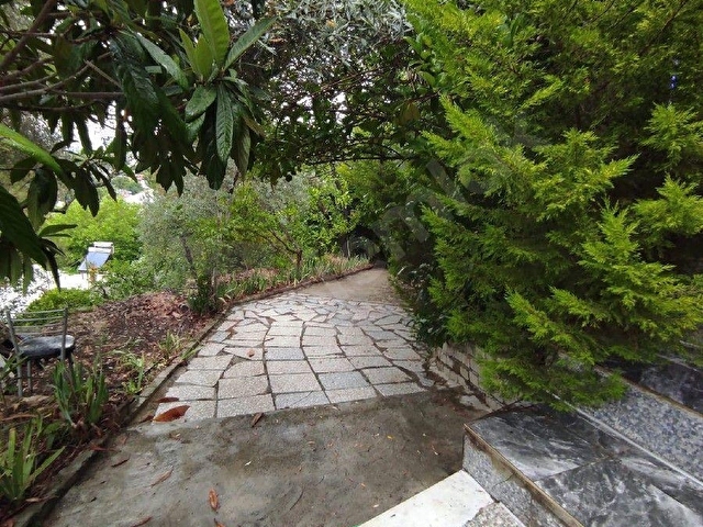 Aydın Koçarlı merkezde satılık Zeytinlik - Görsel 20
