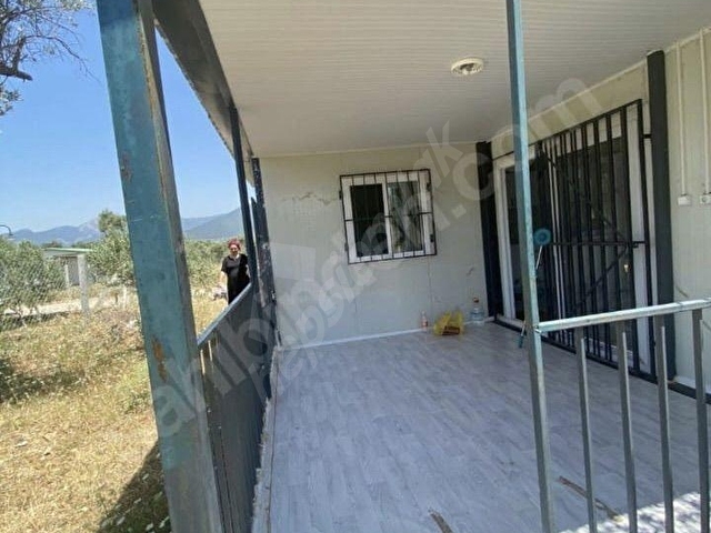 Dağkızılca da Satılık 406m2 İçinde Evi Olan Zeytinlik - Görsel 5