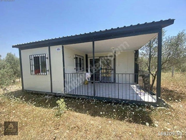 Dağkızılca da Satılık 406m2 İçinde Evi Olan Zeytinlik - Görsel 2