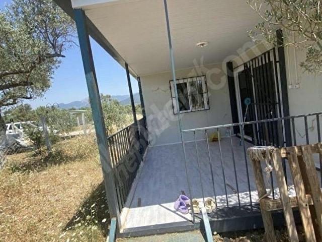 Dağkızılca da Satılık 406m2 İçinde Evi Olan Zeytinlik - Görsel 8