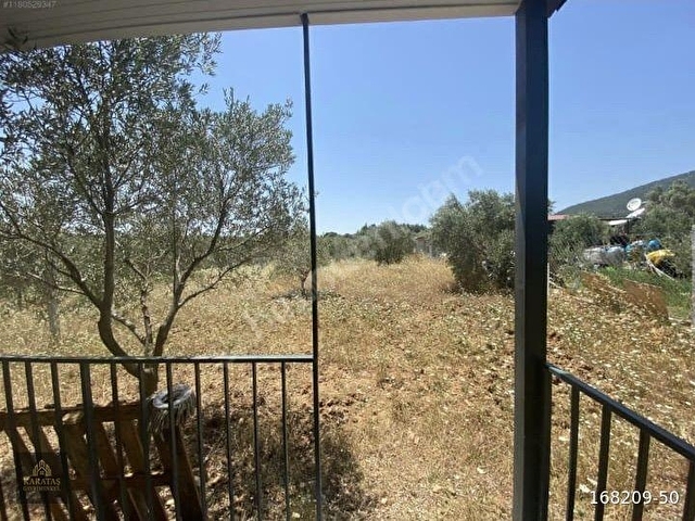 Dağkızılca da Satılık 406m2 İçinde Evi Olan Zeytinlik - Görsel 13