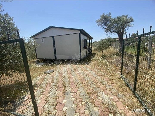 Dağkızılca da Satılık 406m2 İçinde Evi Olan Zeytinlik - Görsel 12