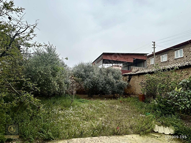 Nazilli Arpazda 431 m2 Arsa İçinde Köy Evi - Görsel 11