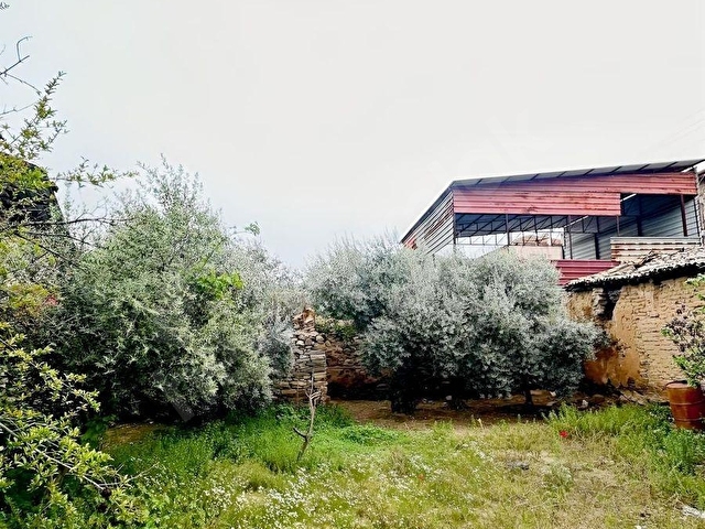 Nazilli Arpazda 431 m2 Arsa İçinde Köy Evi - Görsel 10