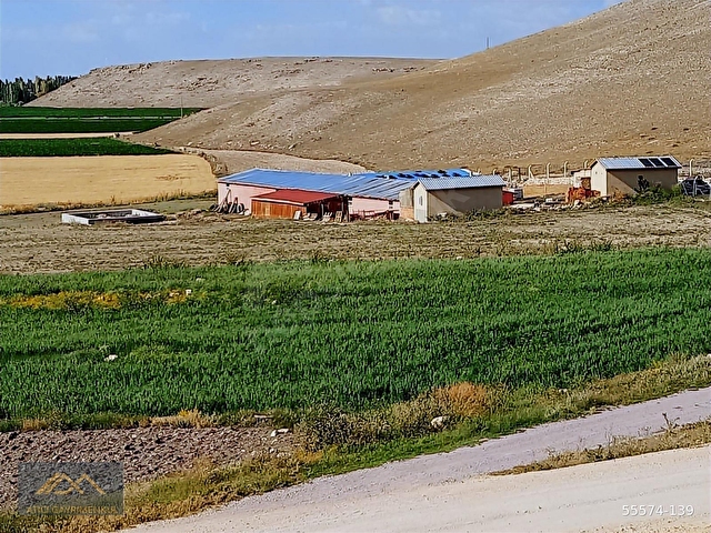 SEYİTGAZİ YAZIDERE MAHALLESİ RUHSATLI KURULU DÜZEN HAZIR ÇİFTLİK