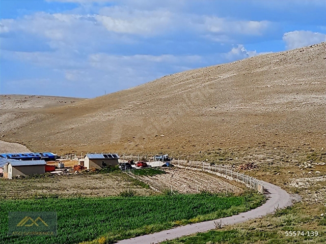 SEYİTGAZİ YAZIDERE MAHALLESİ RUHSATLI KURULU DÜZEN HAZIR ÇİFTLİK - Görsel 23