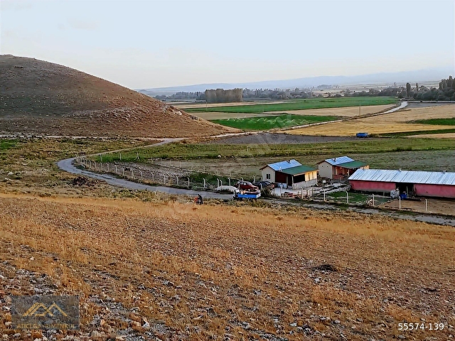 SEYİTGAZİ YAZIDERE MAHALLESİ RUHSATLI KURULU DÜZEN HAZIR ÇİFTLİK - Görsel 8