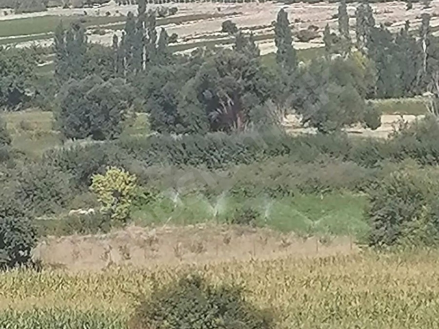 BURDUR KEMERDE SATILIK TARLA - Görsel 3