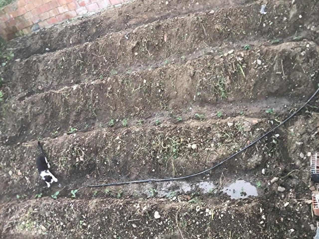 BOZKIR KÖYÜNDE ELEKTRİK SUYU AKTİF HOBİ BAHÇESİ - Görsel 8