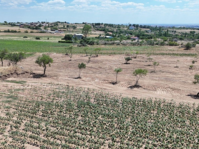 Kırklareli merkez Ahmetçe köyü Satılık 3.010 m² Yola Cephe fırsat Arazi - Görsel 29