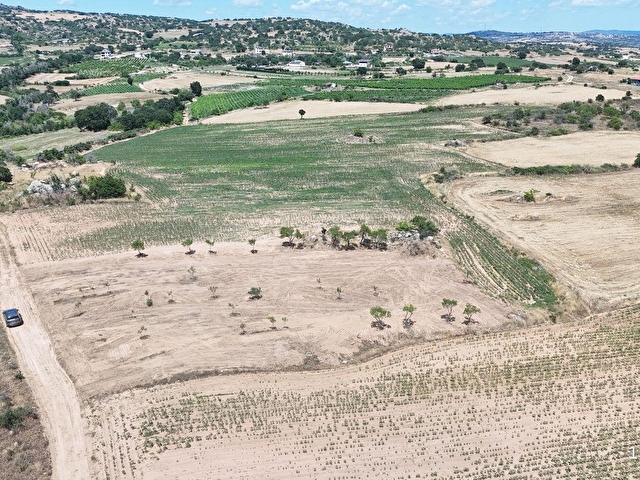 Kırklareli merkez Ahmetçe köyü Satılık 3.010 m² Yola Cephe fırsat Arazi - Görsel 7