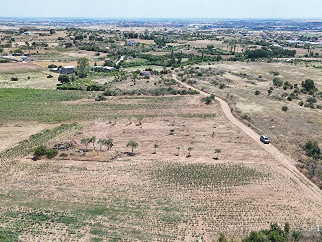Kırklareli merkez Ahmetçe köyü Satılık 3.010 m² Yola Cephe fırsat Arazi - Görsel 15
