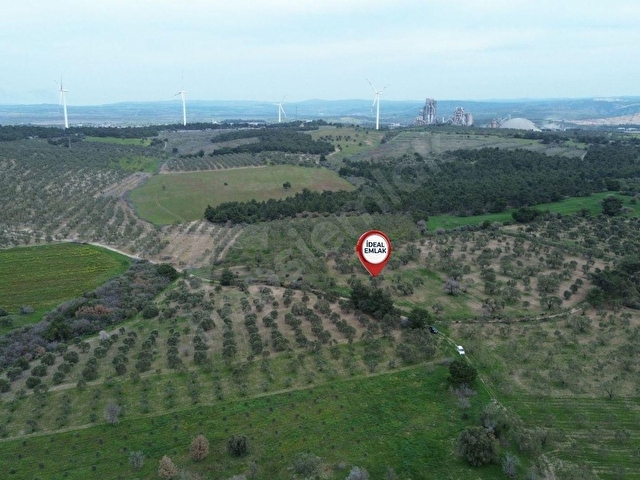 Ezine Üvecikte Yatırımlık & Bakımlı 8.222 M2 Yetişkin Zeytinlik - Görsel 22