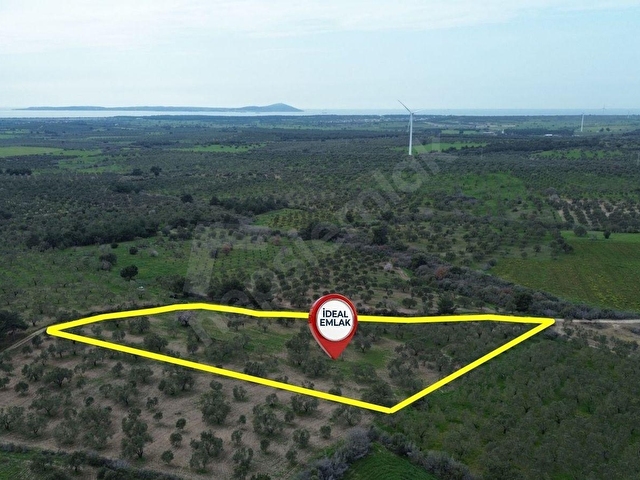Ezine Üvecikte Yatırımlık & Bakımlı 8.222 M2 Yetişkin Zeytinlik