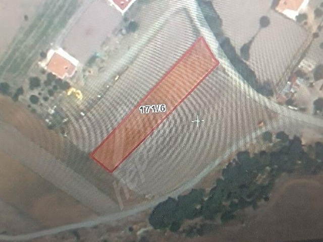AYAŞ FERUZ MAHALLESİNDE ACİL SATILIK TEK TAPU  2253 -M2.PARSEL YOLU OLAN TARLA.