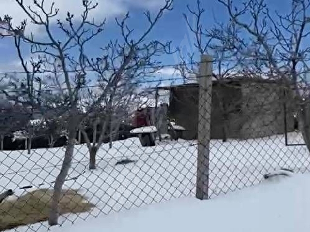Güzelpınarda Villa Arsası – 6.500 m² – Cevizlik & Panoramik Manzara - Görsel 2