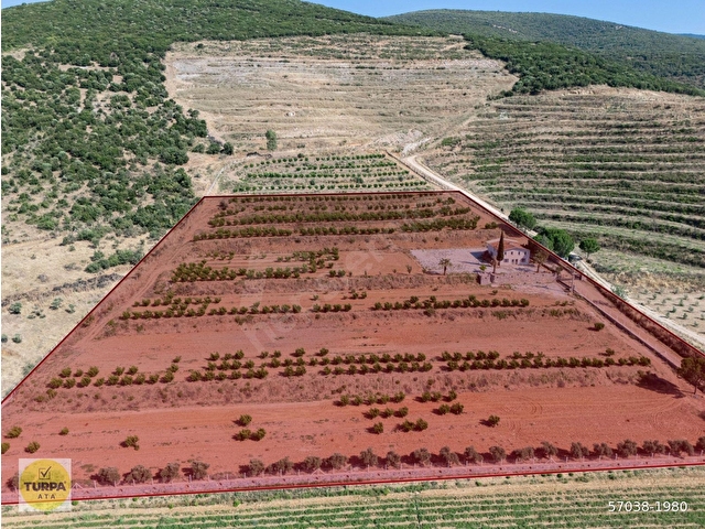 İzmir Torbalı Ahmetli Mahallesinde Satılık 117 Dönüm Arazi - Görsel 19