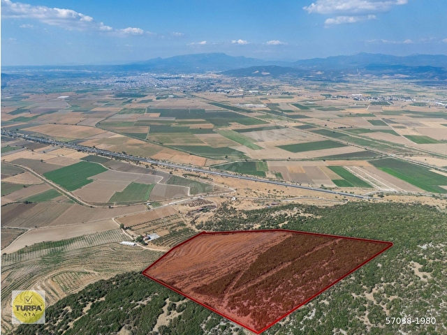 İzmir Torbalı Ahmetli Mahallesinde Satılık 117 Dönüm Arazi - Görsel 22