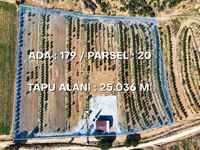 İzmir Torbalı Ahmetli Mahallesinde Satılık 117 Dönüm Arazi - Görsel 3