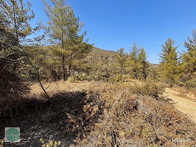 LABRİSTEN GÖKTEPEDE RESMİ YOLU OLAN 6800 m² TARLA - Görsel 28