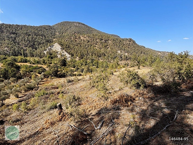 LABRİSTEN GÖKTEPEDE RESMİ YOLU OLAN 6800 m² TARLA - Görsel 30
