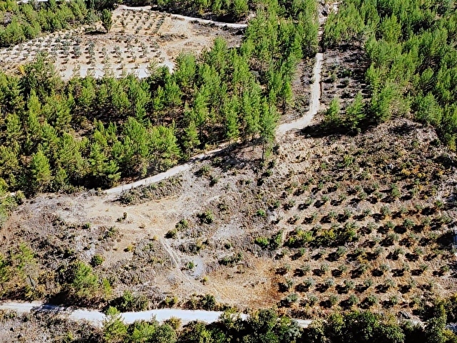 LABRİSTEN GÖKTEPEDE RESMİ YOLU OLAN 6800 m² TARLA - Görsel 6