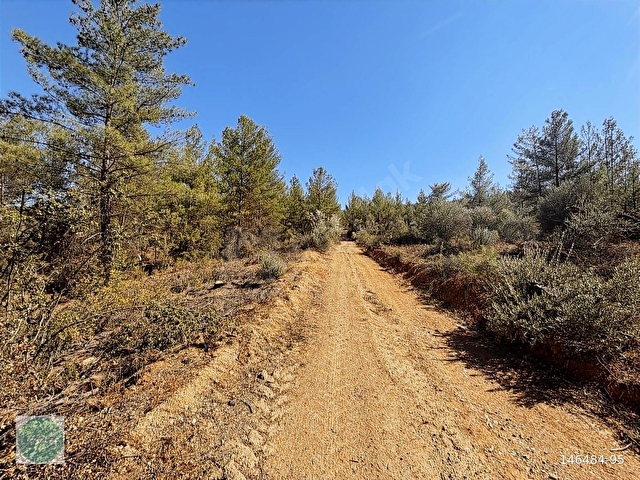 LABRİSTEN GÖKTEPEDE RESMİ YOLU OLAN 6800 m² TARLA - Görsel 20