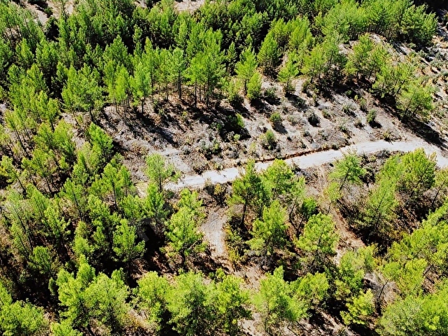 LABRİSTEN GÖKTEPEDE RESMİ YOLU OLAN 6800 m² TARLA - Görsel 12