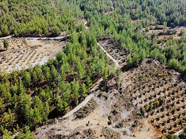 LABRİSTEN GÖKTEPEDE RESMİ YOLU OLAN 6800 m² TARLA - Görsel 4