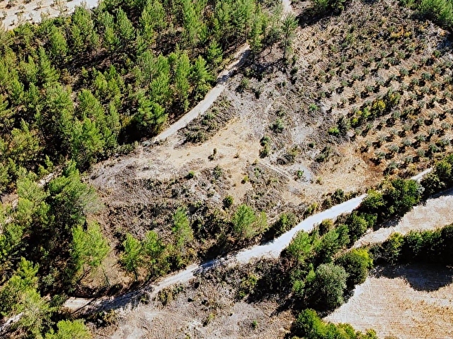 LABRİSTEN GÖKTEPEDE RESMİ YOLU OLAN 6800 m² TARLA - Görsel 3
