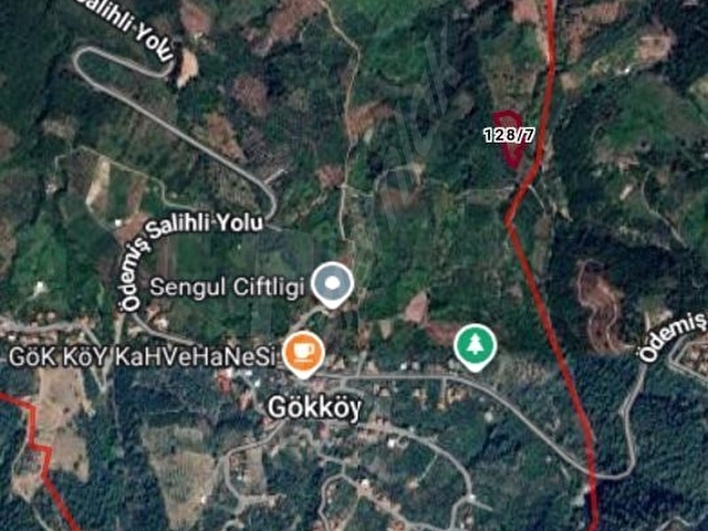 SALİHLİ ÇALIŞKAN EMLAKTAN SATILIK GOKKOYDE HOBİ BAHÇESİ