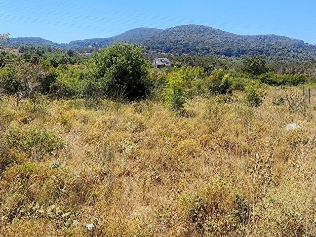 YALOVA ÇINARCIKTA VİLLA İMARLI ARSA - Görsel 12