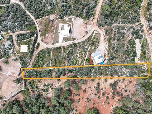 FETHİYE GÖCEK İNLİCEDE SATILIK ZEYTİNLİK - Görsel 2