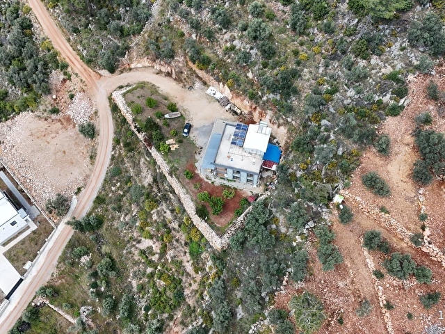 FETHİYE GÖCEK İNLİCEDE SATILIK ZEYTİNLİK - Görsel 12