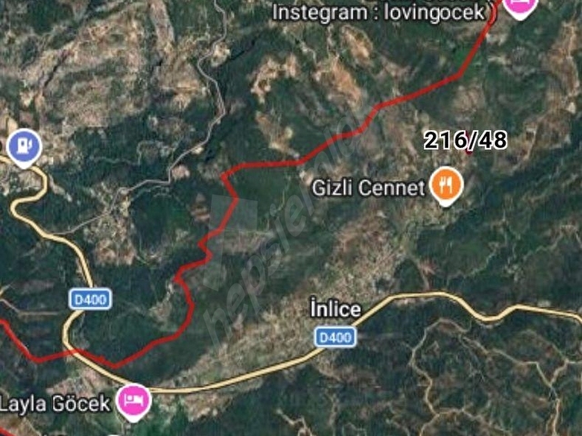 FETHİYE GÖCEK İNLİCEDE SATILIK ZEYTİNLİK - Görsel 3
